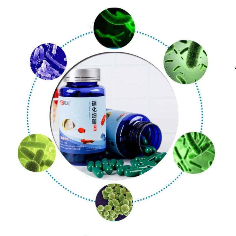 Aquarium Nitrifying Bacteria Concentrated Capsule