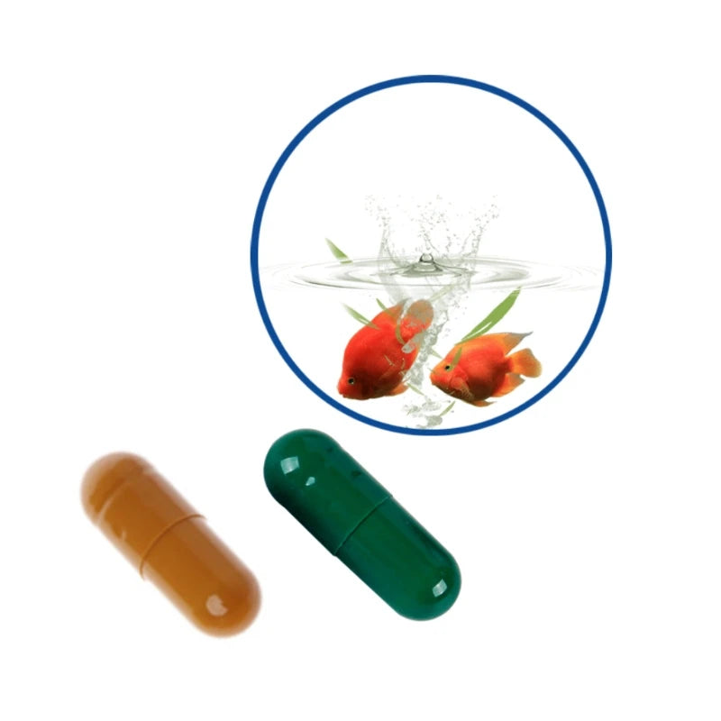 Aquarium Nitrifying Bacteria Concentrated Capsule