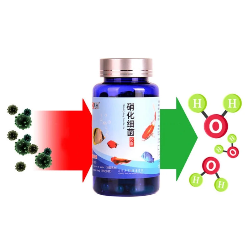 Aquarium Nitrifying Bacteria Concentrated Capsule