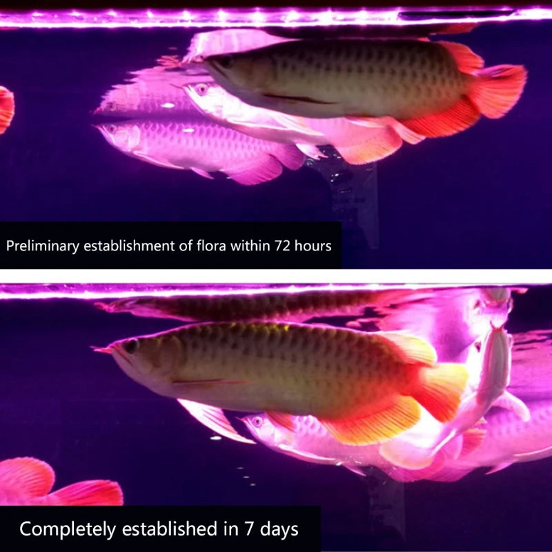 Aquarium Nitrifying Bacteria Concentrated Capsule
