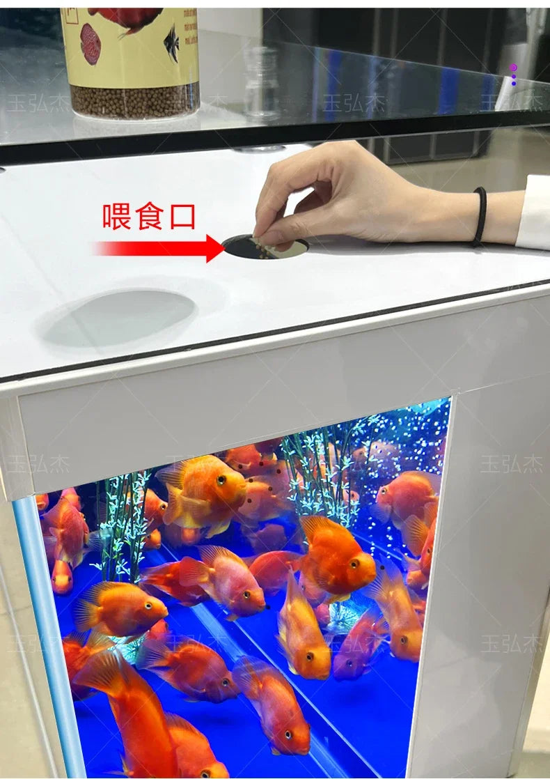 TV Cabinet Fish Tank Living Room Floor Aquarium Integrated Back Filter Loop One-Click Sewage Discharge