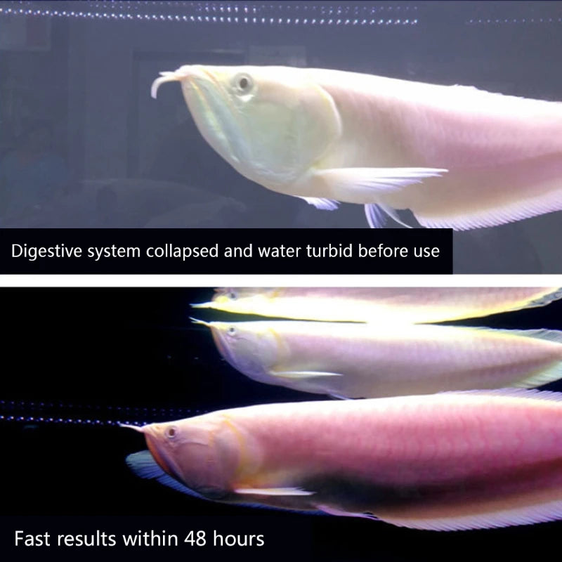 Aquarium Nitrifying Bacteria Concentrated Capsule