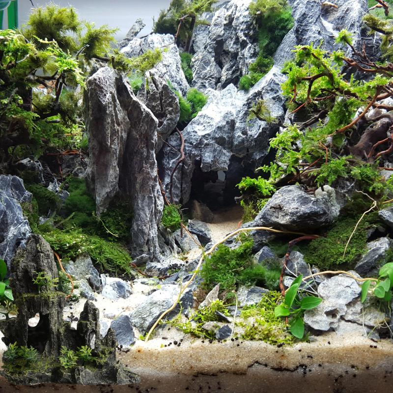 SUBSTRATES & AQUASCAPING MATERIALS