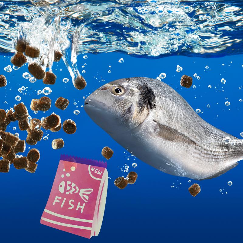 FISH FOOD & FEEDING TOOLS