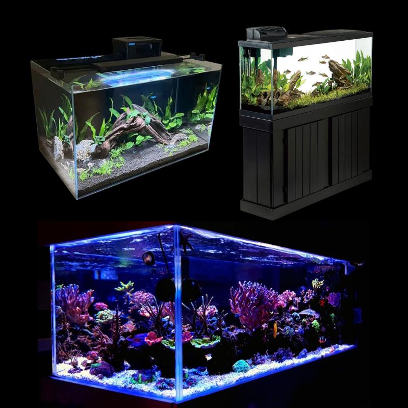 AQUARIUM TANKS & SETUPS